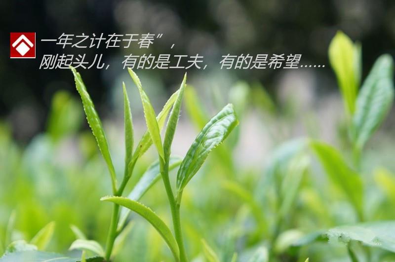 201902131714554595.jpg 201902131714554595.jpg